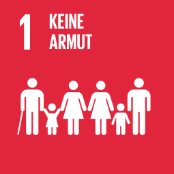 SDG Ziel 1, Keine Armut